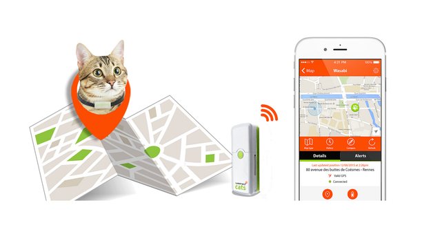 „Komm nach Hause, Minka. Fressi!“ – Weenect Cats ist das erste Handy für Katzen