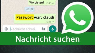 WhatsApp: Nachricht suchen – So findet ihr alten Text im Chat