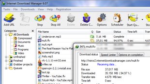 Internet Download Manager: Downloads steuern und verwalten