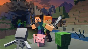 Minecraft: Das verdient ein Server
