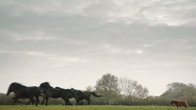 amazon-prime-werbung-2015