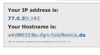 IP-Adresse ändern – so geht's