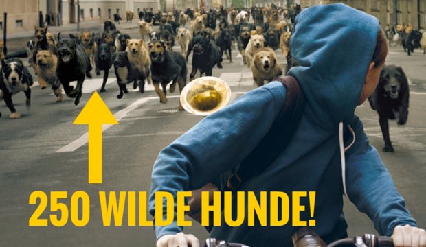 Kino Extrem: Die 5 riskantesten Filme des letzten Jahres