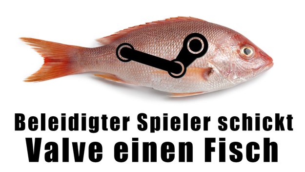 Spieler fühlt sich vom Steam ARG verarscht und schickt Valve einen echten "roten Hering"