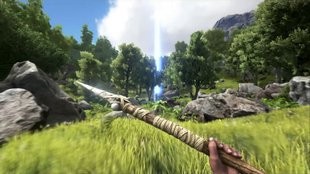ARK - Survival Evolved: Attribute im Detail