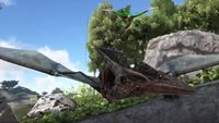 ARK - Survival Evolved: Pteranodon zähmen - alle Infos