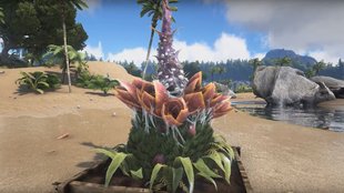 ARK - Survival Evolved: Spezies X finden und pflanzen