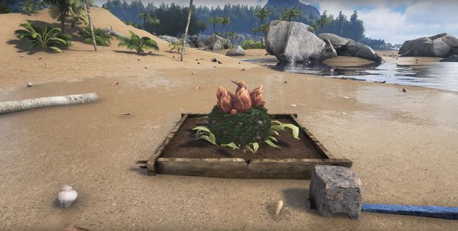 Das ist eine Wachstumsstufe der Spezies X in ARK: Survival Evolved