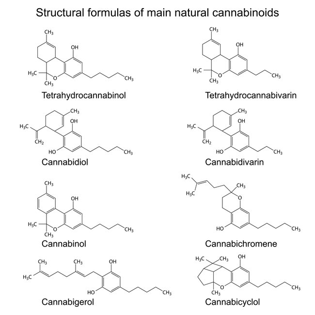 chemische struktur der natürlichen cannabinoide