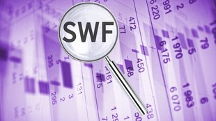 SWF Datei öffnen