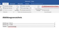 Word: Abbildungsverzeichnis erstellen – so geht's