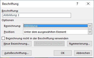 Stellt ein, wie die Bildunterschrift heißen soll und ob es eine Abbildung, Tabelle oder Formel ist.