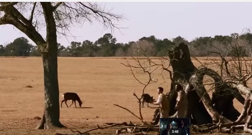 Zoo Staffel 3 Folge 10 Zoo Staffel 3 Folge 10