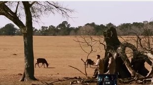 Neue Serie Zoo Neue Serie Zoo