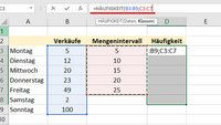 Excel: Häufigkeit berechnen – ganz einfach
