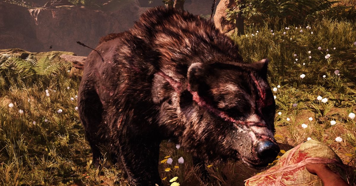 Far Cry Primal: Großen Narbenbär zähmen – Video mit ... - 1200 x 627 jpeg 221kB