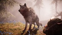 Far Cry Primal: Schneeblut-Wolf zähmen - Video mit Walkthrough