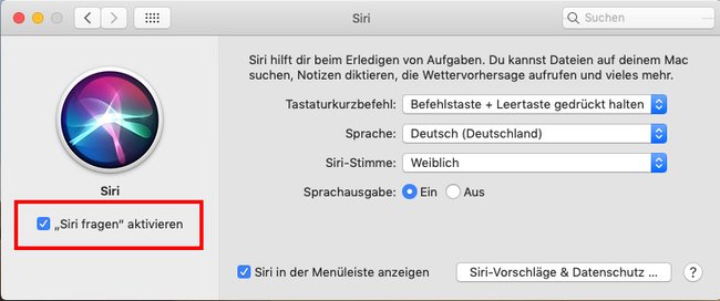 Hier aktiviert ihr Siri auf dem Mac (macOS Mojave). Bild: GIGA