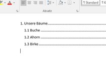 Word-Inhaltsverzeichnis erstellen und bearbeiten