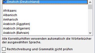 Word: Sprache ändern (Rechtschreibprüfung und im Programm) – so geht's