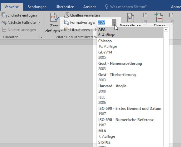 Hier stellt ihr ein, nach welcher Vorlage Word eure Zitate und Quellen im Text anzeigen soll.