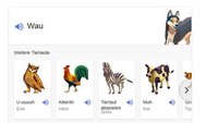 Tiergeräusche online hören: So geht's mit Google und Co.