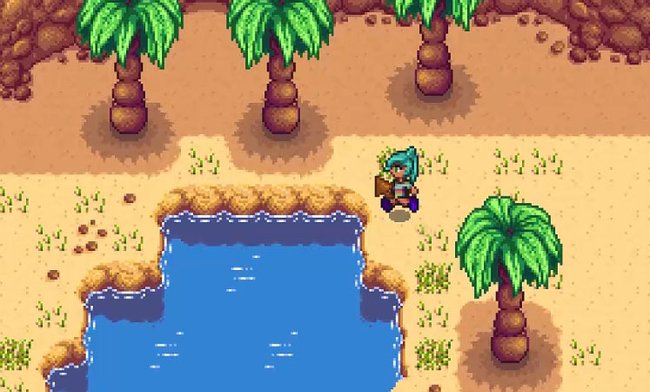 Stardew Valley: In der Wüste Calico Desert gibt es Geheimnisse zu erkunden.