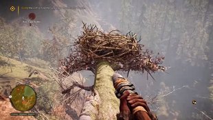 Far Cry Primal: Federn finden - so bekommt ihr sie schnell