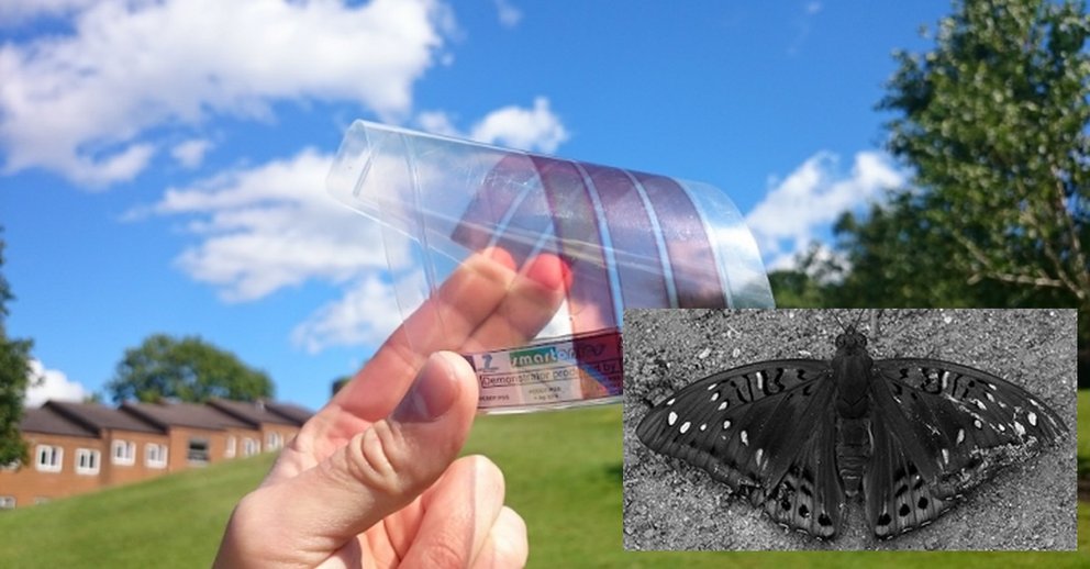 „Moth Eye“-Graphen: Durchbruch könnte Solarenergie revolutionieren