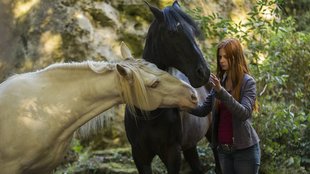 Wann Kommt Ostwind 3 Im Fernsehen Wann Kommt Ostwind 3 Im Fernsehen