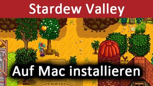 Stardew Valley auf Mac installieren – So geht's