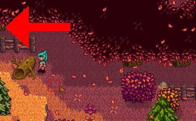 Stardew Valley: Zerhackt den Baumstamm mit der Iron Axe, um in die Secret Woods zu kommen.