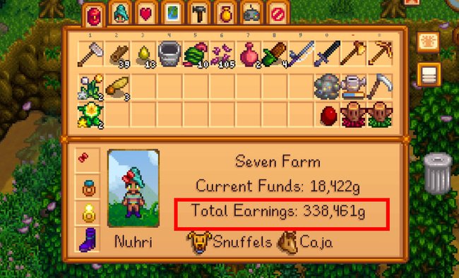 Stardew Valley: Hier stehen eure "Total Earnings".