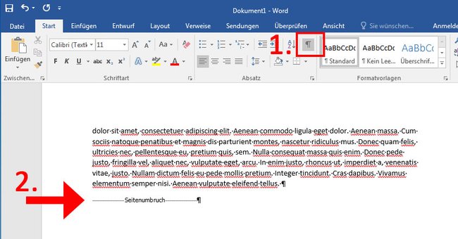 Word: Die Markierung zeigt den Seitenumbruch an.