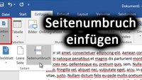 Word: Seitenumbruch einfügen, anzeigen und löschen – So geht's