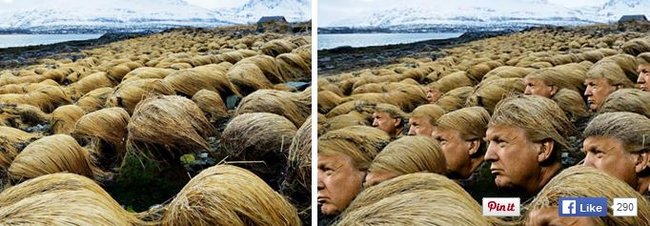 Donald Trump Frisur Photoshop