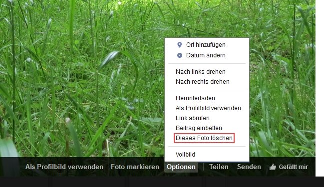Facebook Bilder löschen Dieses Foto löschen