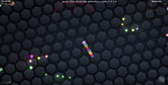 Slither.io Server Gemeinsam mit Freunden IP-Adresse