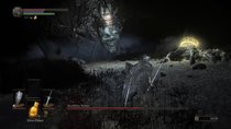 Dark Souls 3: Hochfürst Wolnir im Boss-Guide mit Video