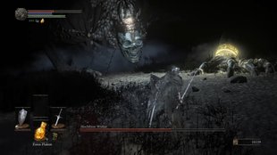 Dark Souls 3: Hochfürst Wolnir im Boss-Guide mit Video
