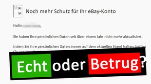 E-Mail: Helfen sie uns ihr eBay-Konto zu schützen – Betrug oder echt?