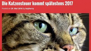 Einführung der Katzensteuer in Deutschland 2017 - Was ist dran?