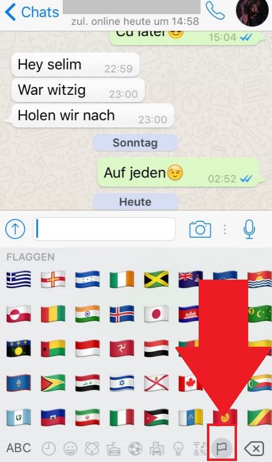 WhatsApp Flaggen im Chat