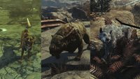 Fallout 4 - Far Harbor: Wachhunde Mishka, Gracie und Duke finden und freischalten