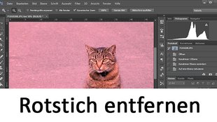 Rotstich entfernen aus Fotos (Photoshop & Gimp) – So geht's