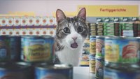 Netto-Katzen: Werbung geht viral - Netto ist auf die Katze gekommen