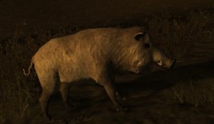 Ein leckeres Schwein bringt euch über die Runden.