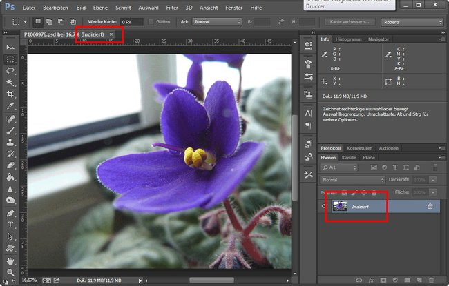 Photoshop zeigt an, dass das Bild "indiziert" ist.