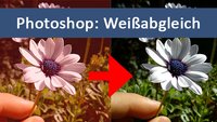 Photoshop: Weißabgleich machen – zuverlässig & schnell