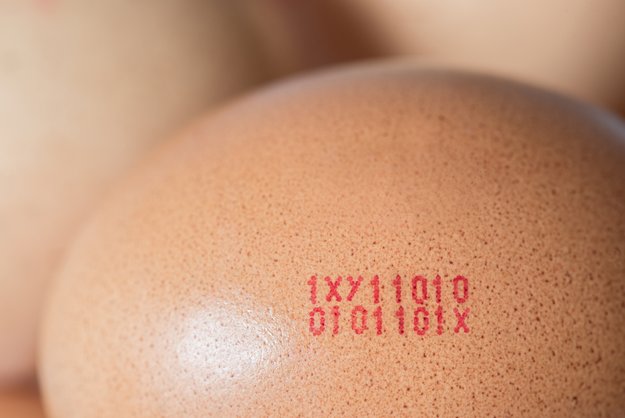 Was steht auf dem Ei? Stempel-Kennzeichnung einfach erklärt